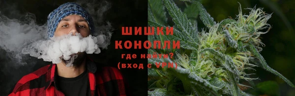 прущий лед Бородино