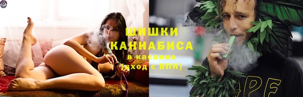 прущий лед Бородино