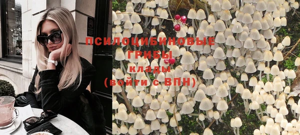 индика Бронницы