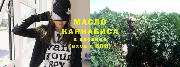 прущий лед Бородино