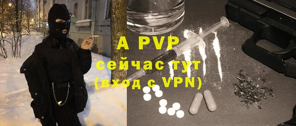 индика Бронницы