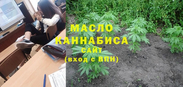 индика Бронницы