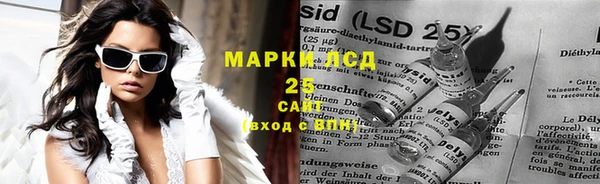 индика Бронницы